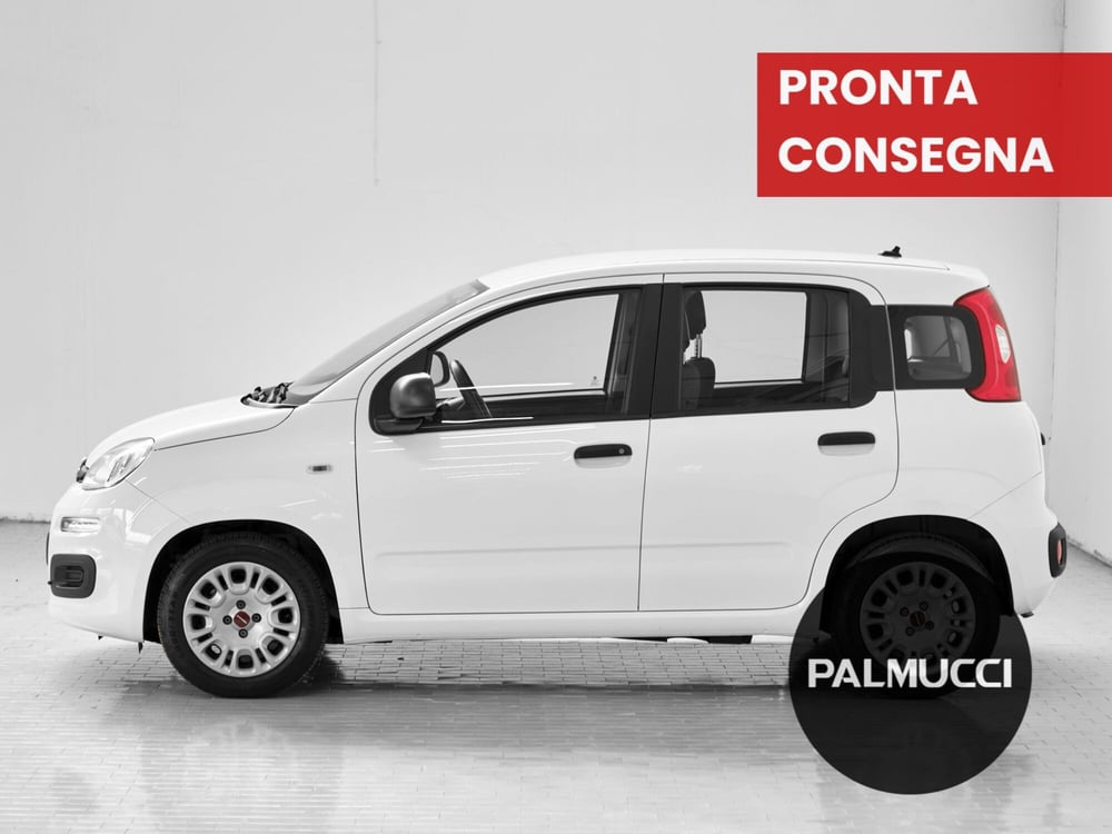 Fiat Panda usata a Prato (3)