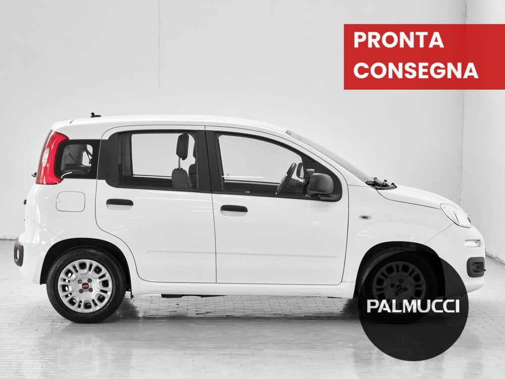 Fiat Panda usata a Prato (4)