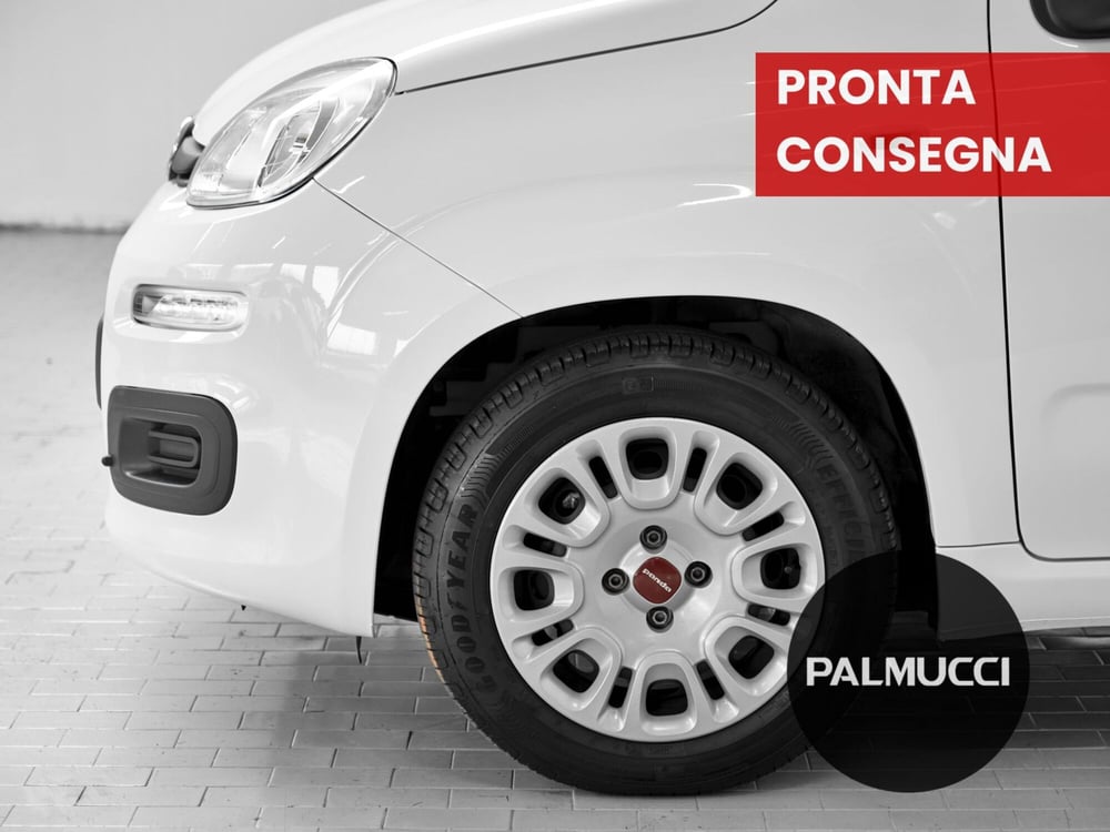 Fiat Panda usata a Prato (6)