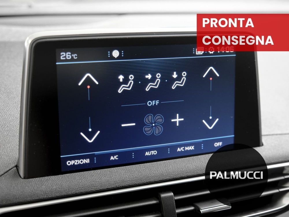 Peugeot 3008 usata a Prato (14)