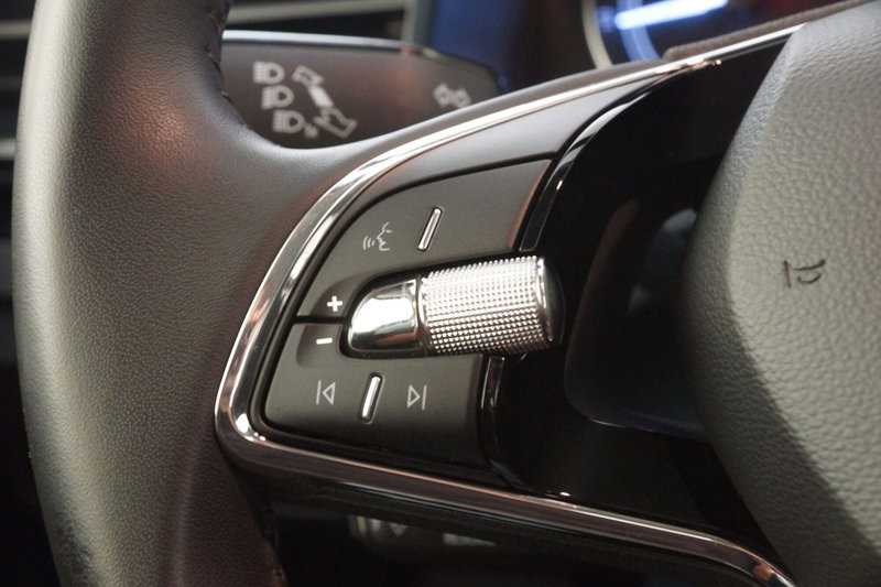 Skoda Kamiq usata a Torino (13)