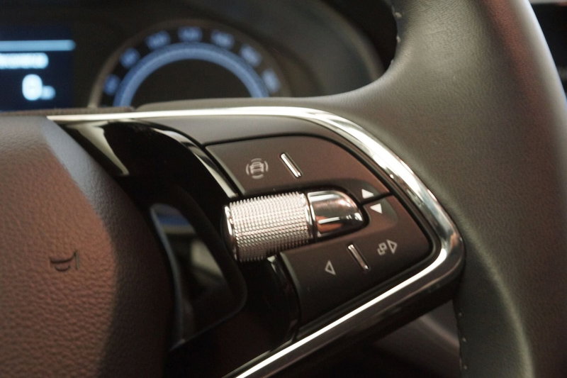 Skoda Kamiq usata a Torino (14)