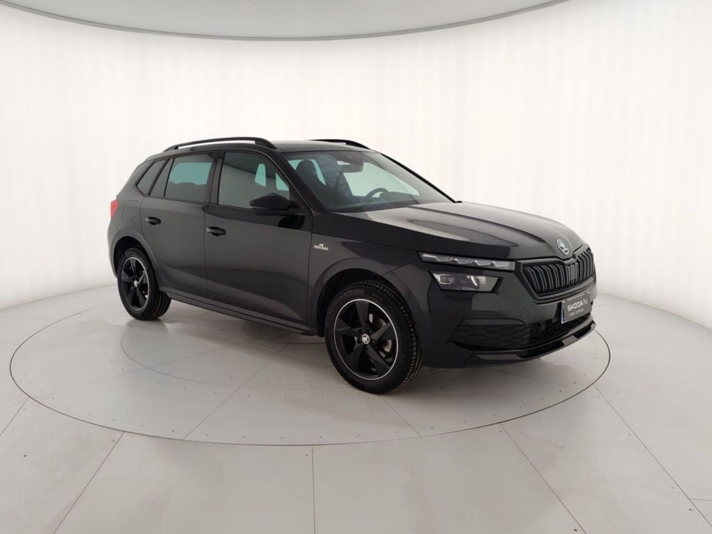Skoda Kamiq usata a Massa-Carrara (3)