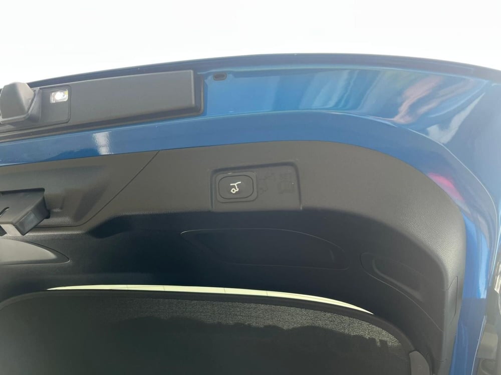 Ford Puma usata a Novara (16)