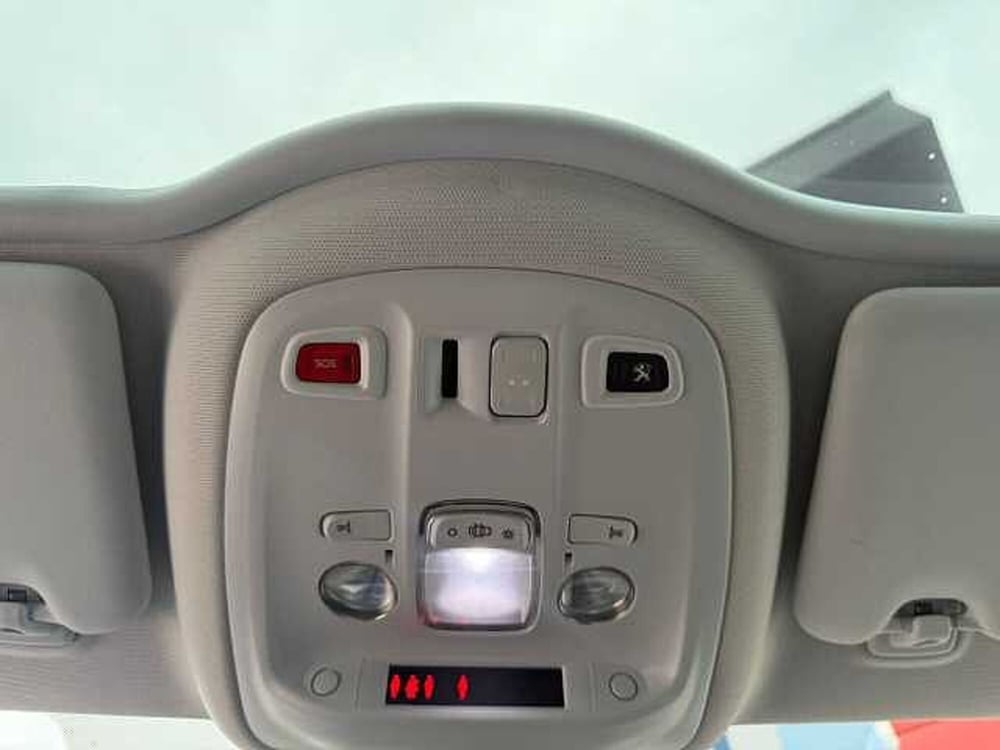 Peugeot 308 SW usata a Teramo (20)