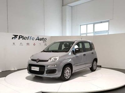 Fiat Panda 1.0 firefly hybrid Pop s&amp;s 70cv del 2022 usata a Teramo
