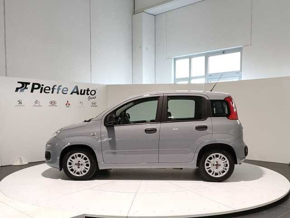 Fiat Panda usata a Teramo (2)