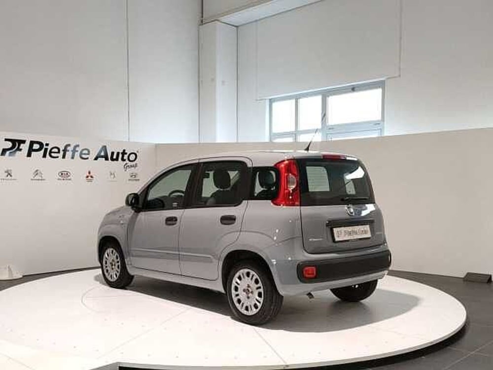 Fiat Panda usata a Teramo (3)