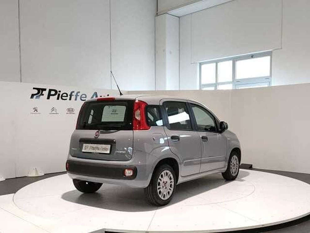 Fiat Panda usata a Teramo (4)