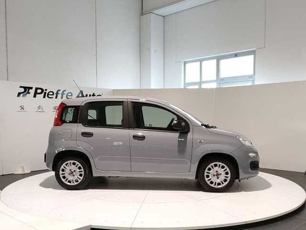 Fiat Panda usata a Teramo (5)