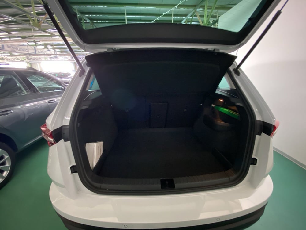 Skoda Karoq usata a Catanzaro (11)