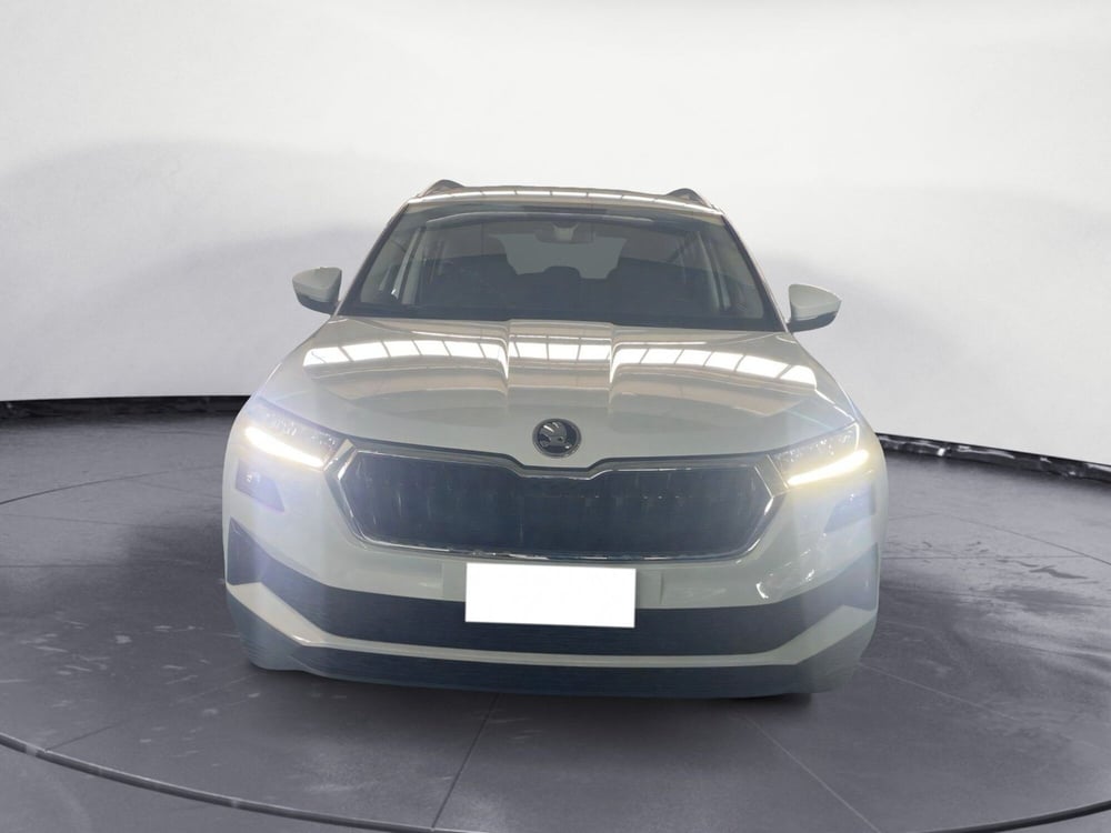Skoda Karoq usata a Catanzaro (13)