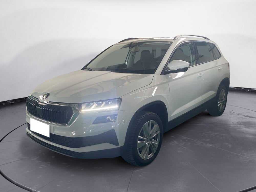 Skoda Karoq usata a Catanzaro (14)