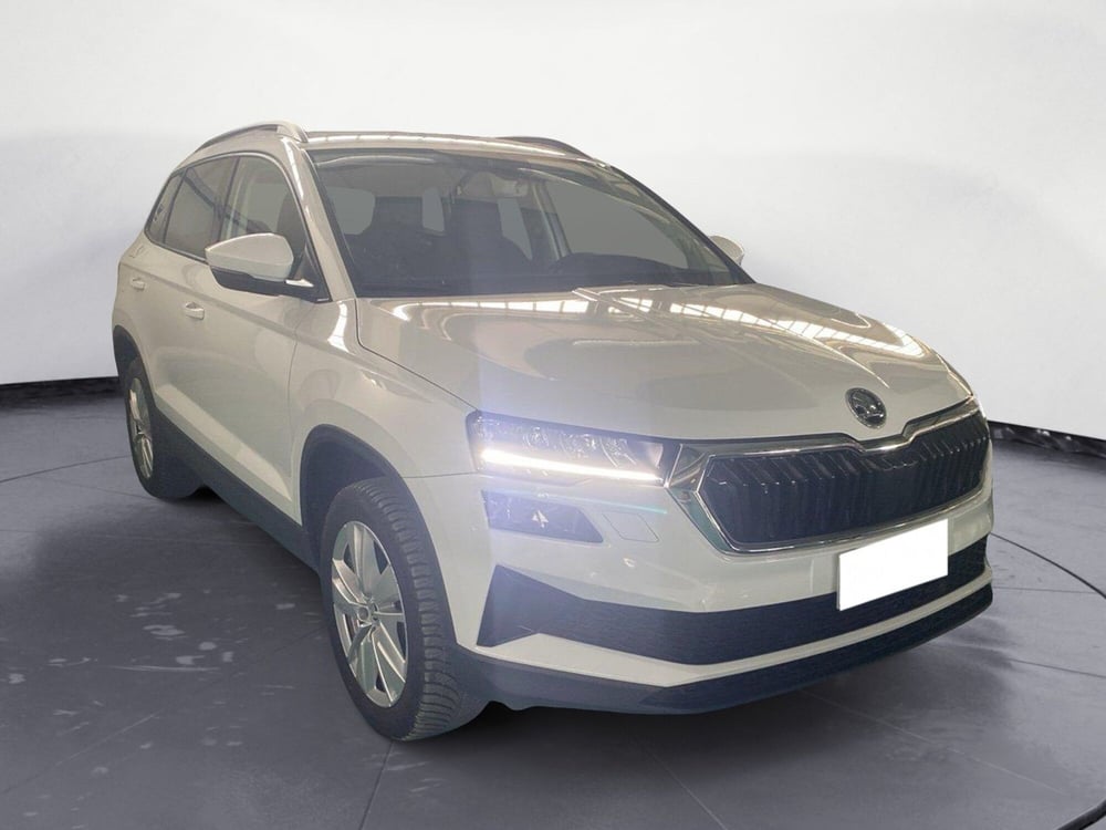 Skoda Karoq usata a Catanzaro (15)