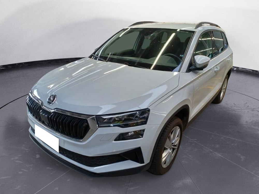 Skoda Karoq usata a Catanzaro (2)