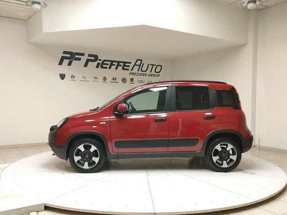 Fiat Panda Cross usata a Teramo (2)