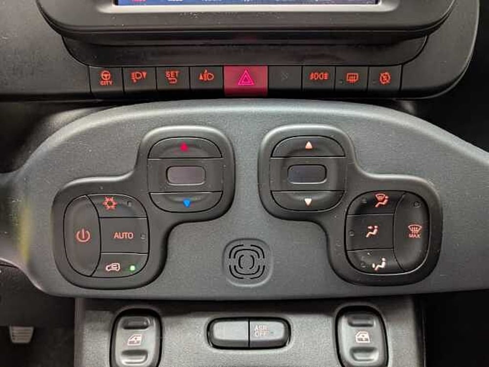 Fiat Panda Cross usata a Teramo (20)
