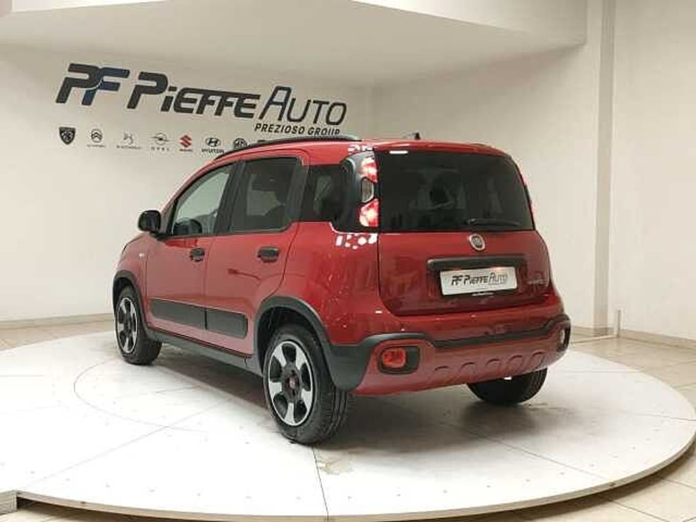 Fiat Panda Cross usata a Teramo (3)