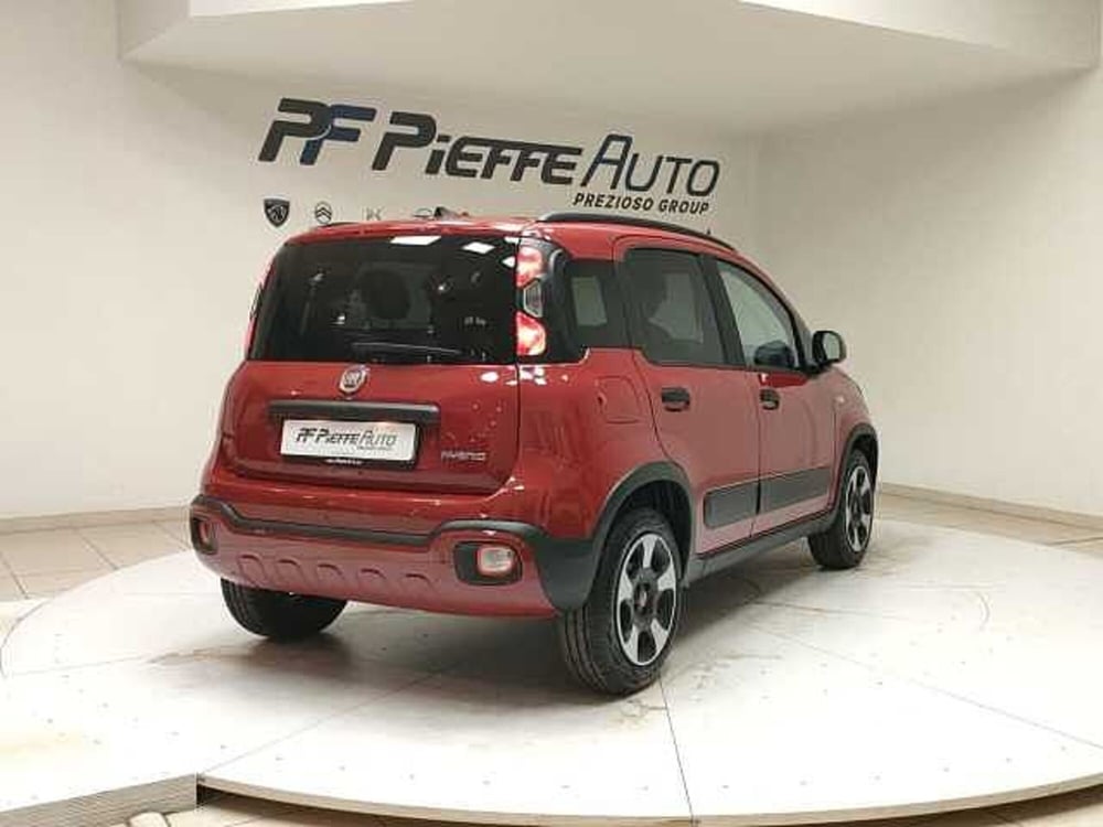 Fiat Panda Cross usata a Teramo (4)