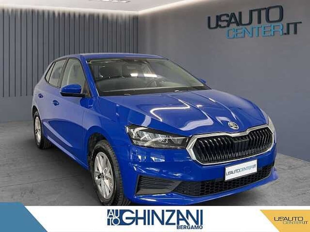 Skoda Fabia usata a Bergamo (2)