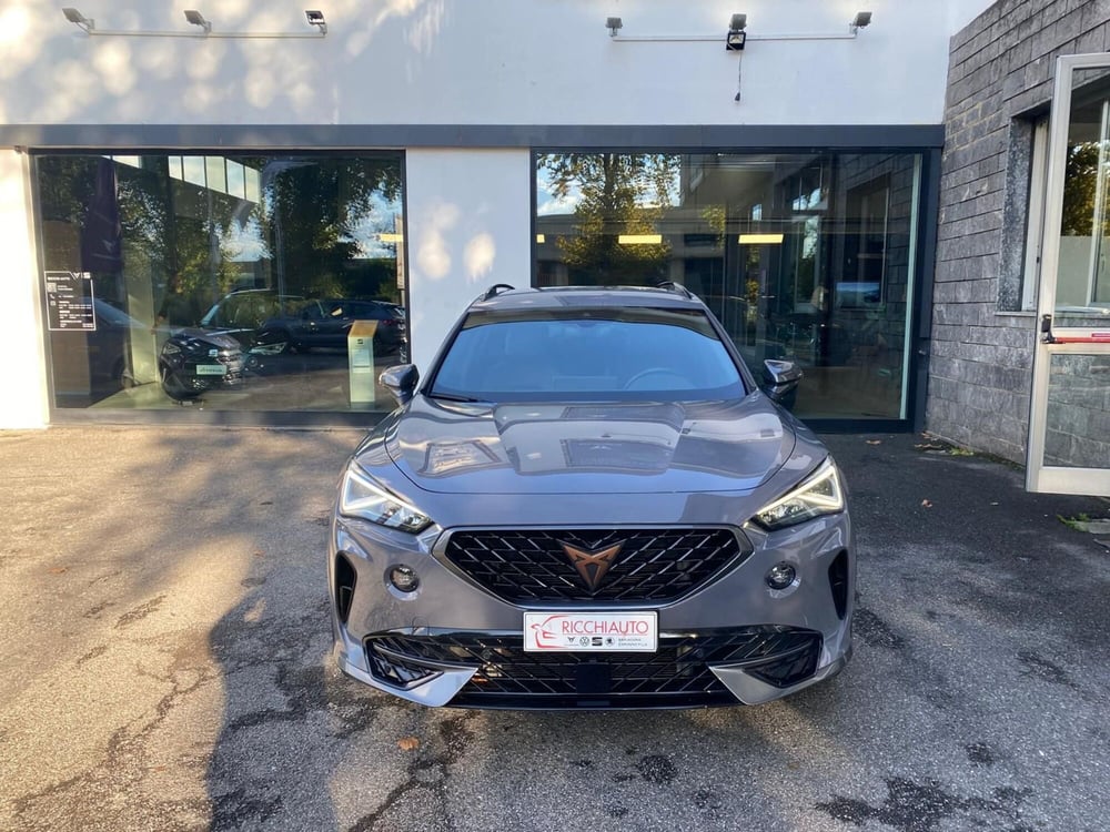 Cupra Formentor usata a Monza e Brianza (4)