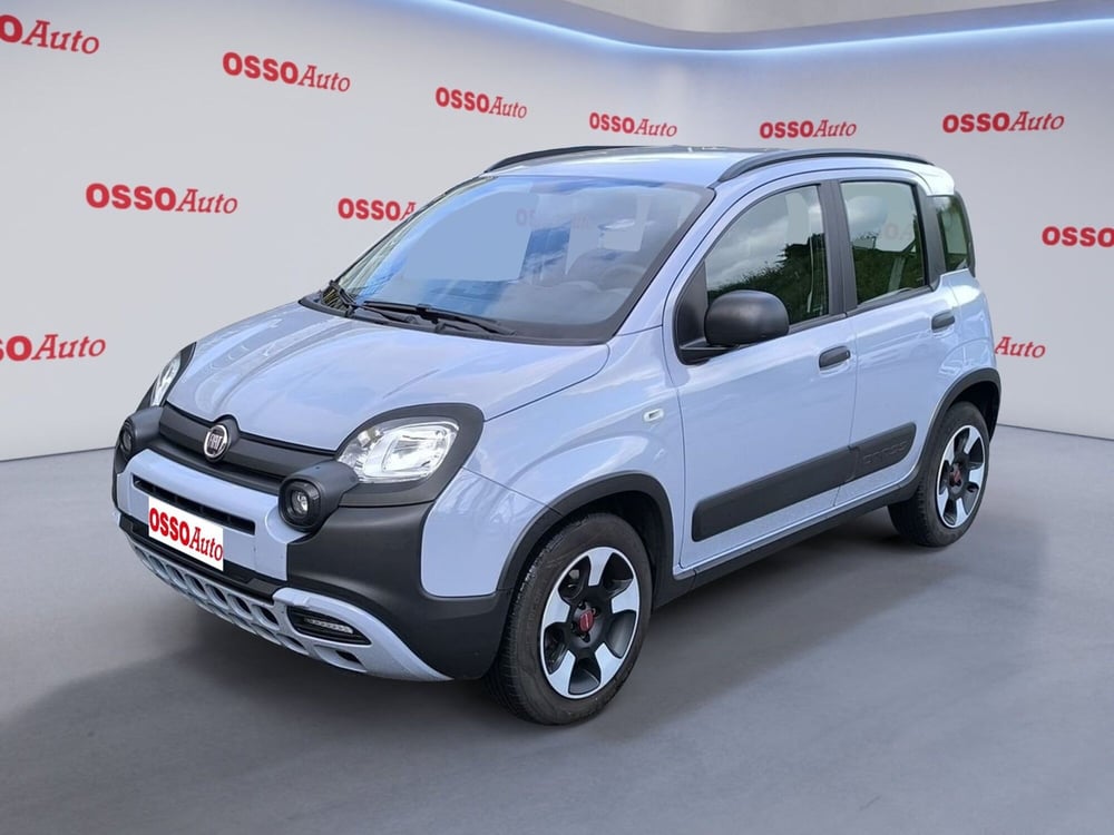 Fiat Panda Cross usata a Udine