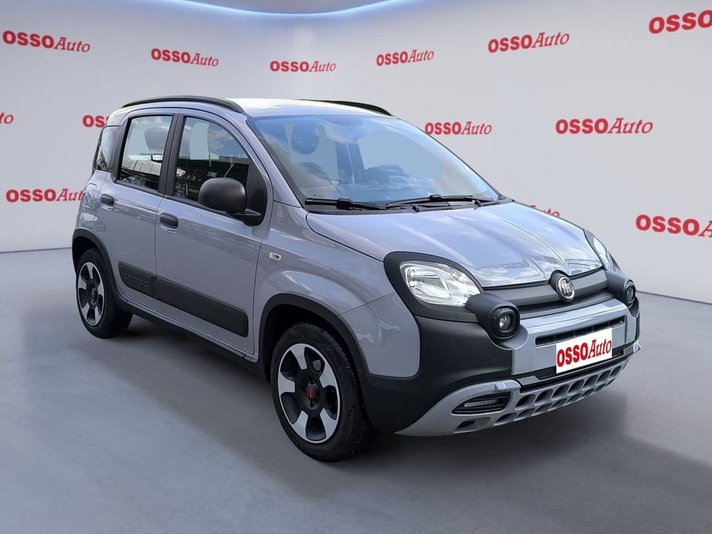 Fiat Panda Cross usata a Udine (2)