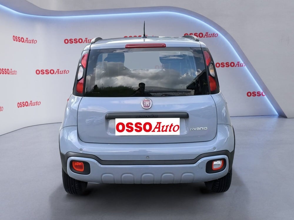 Fiat Panda Cross usata a Udine (6)