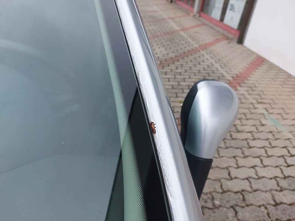 Peugeot 207 SW usata a Pavia (15)