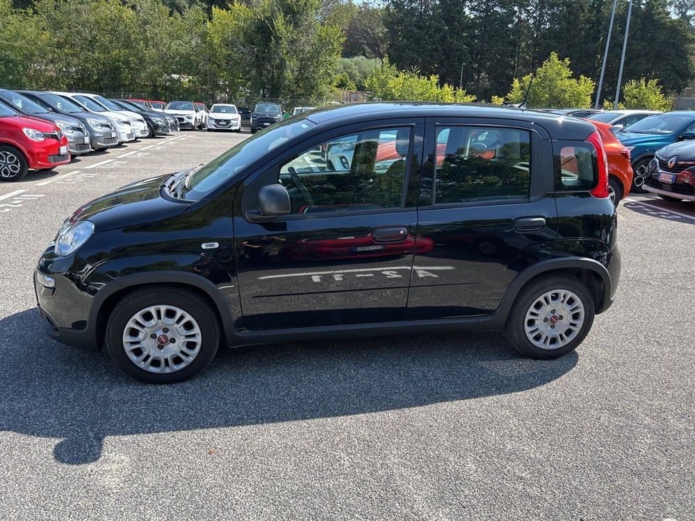 Fiat Panda usata a Roma (8)