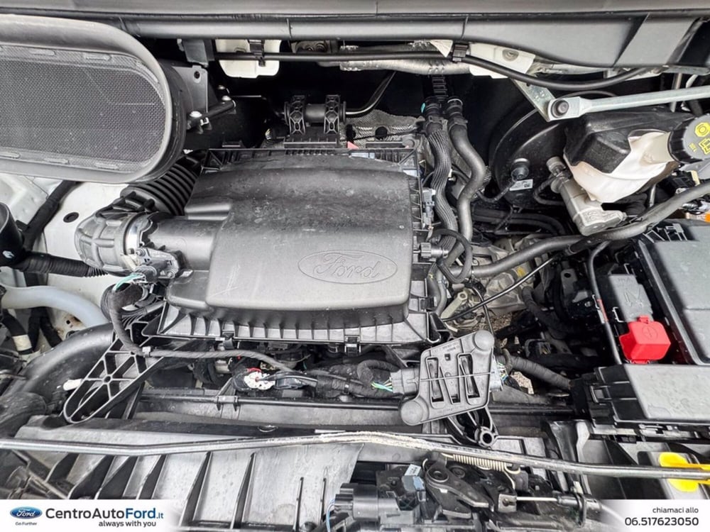 Ford Transit Furgone usata a Roma (11)