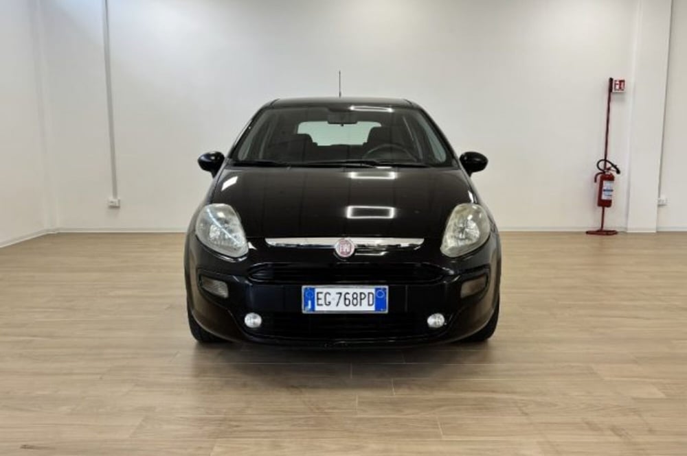 Fiat Punto Evo usata a Latina (2)