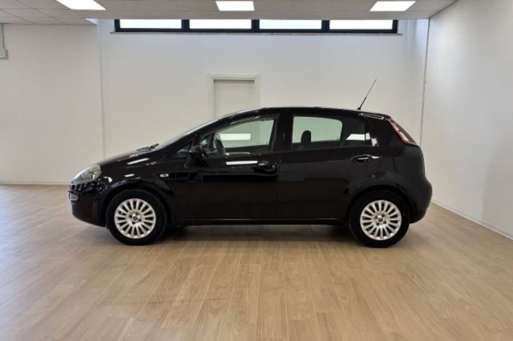 Fiat Punto Evo usata a Latina (4)