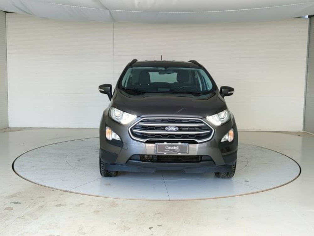 Ford EcoSport usata a Teramo (2)