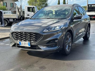 Ford Kuga 1.5 EcoBlue 120 CV 2WD ST-Line del 2021 usata a Massarosa
