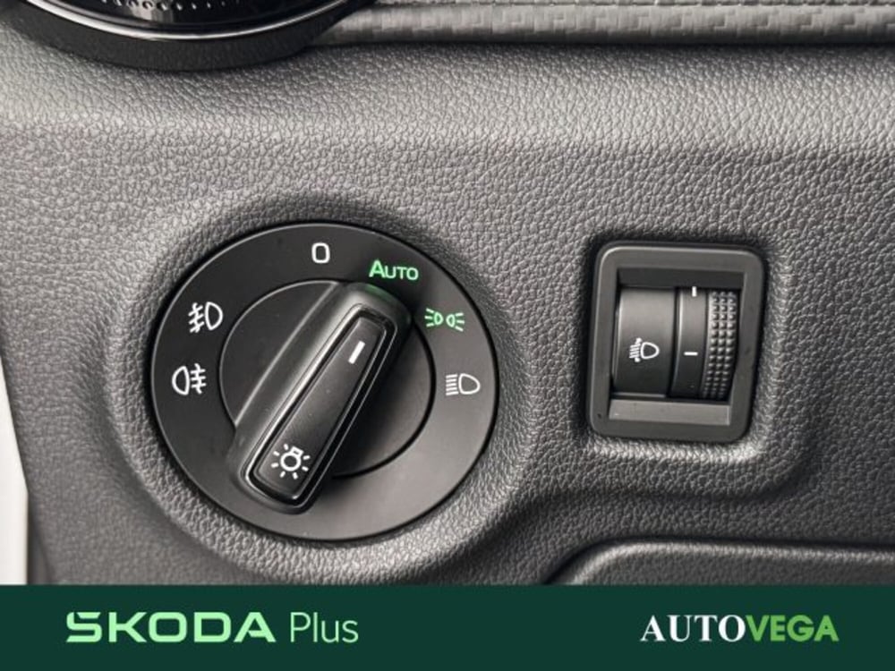 Skoda Fabia usata a Vicenza (13)