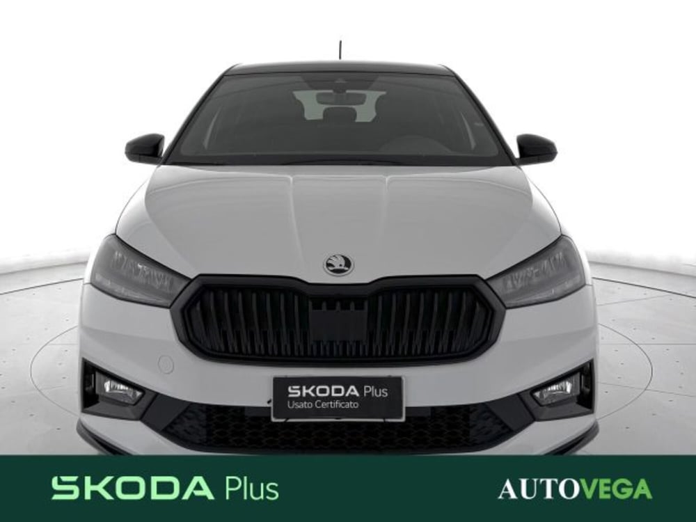 Skoda Fabia usata a Vicenza (2)