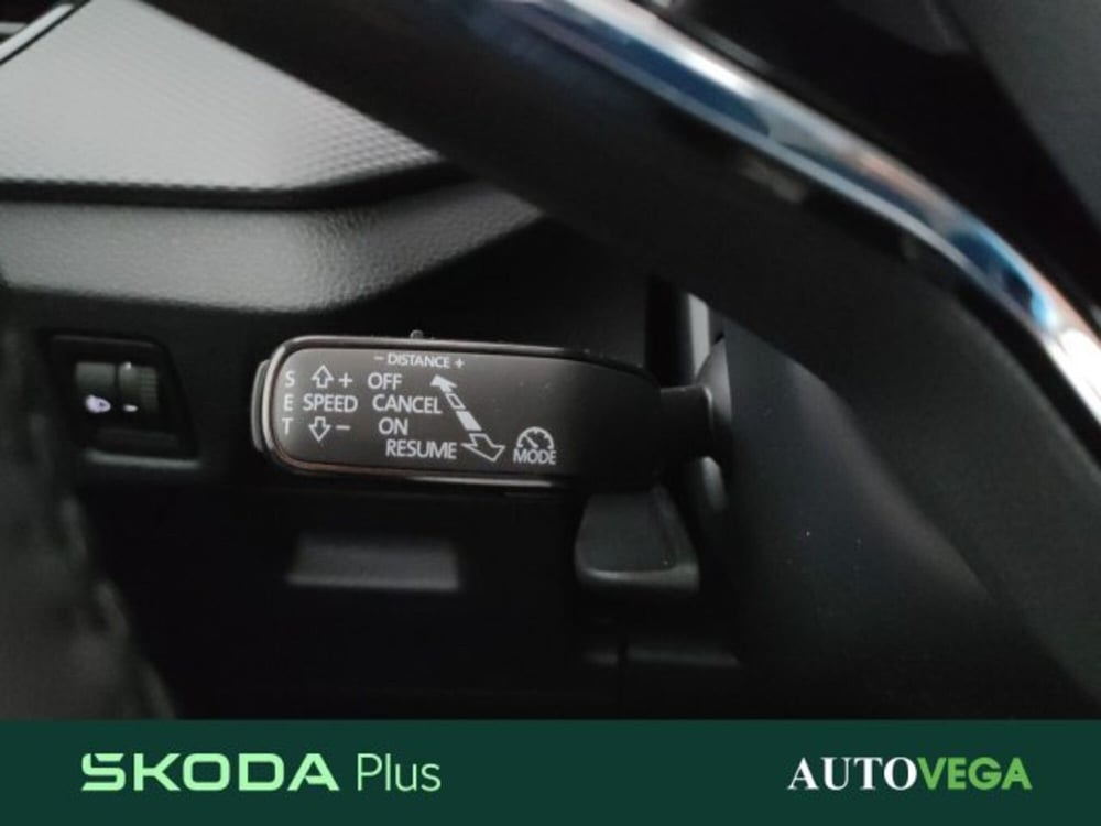 Skoda Kamiq usata a Vicenza (14)