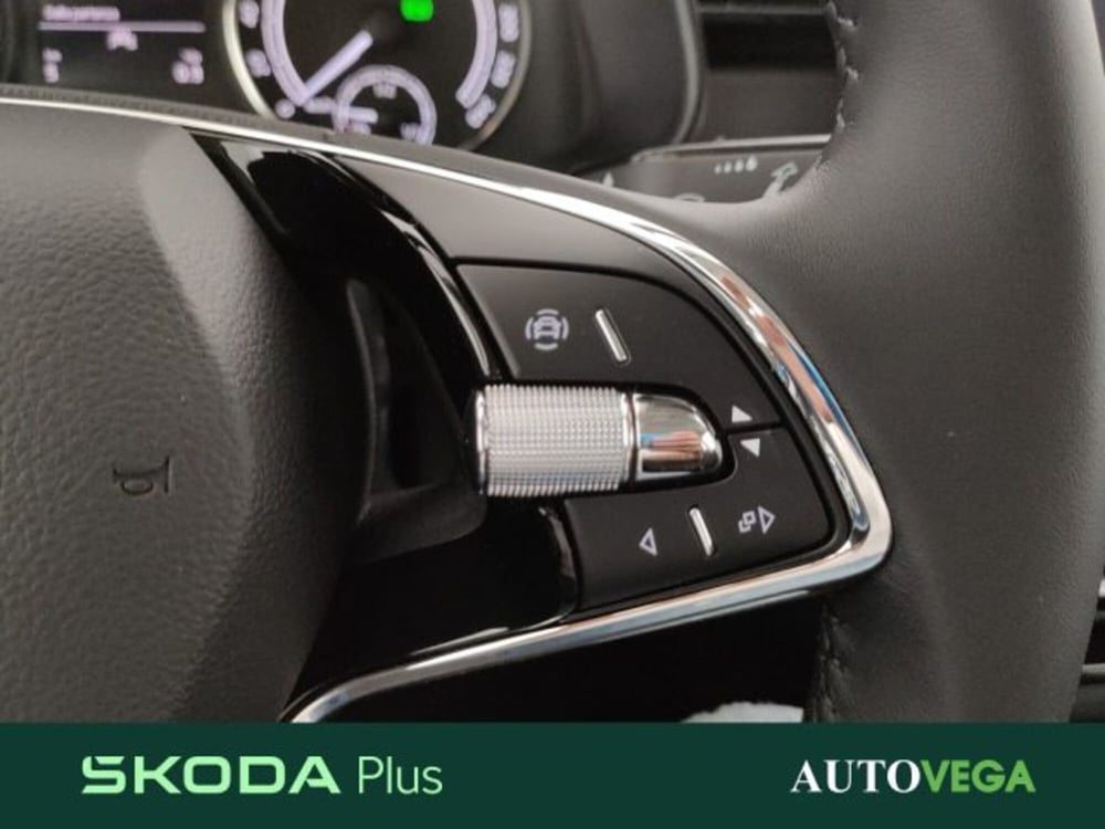 Skoda Kamiq usata a Vicenza (15)