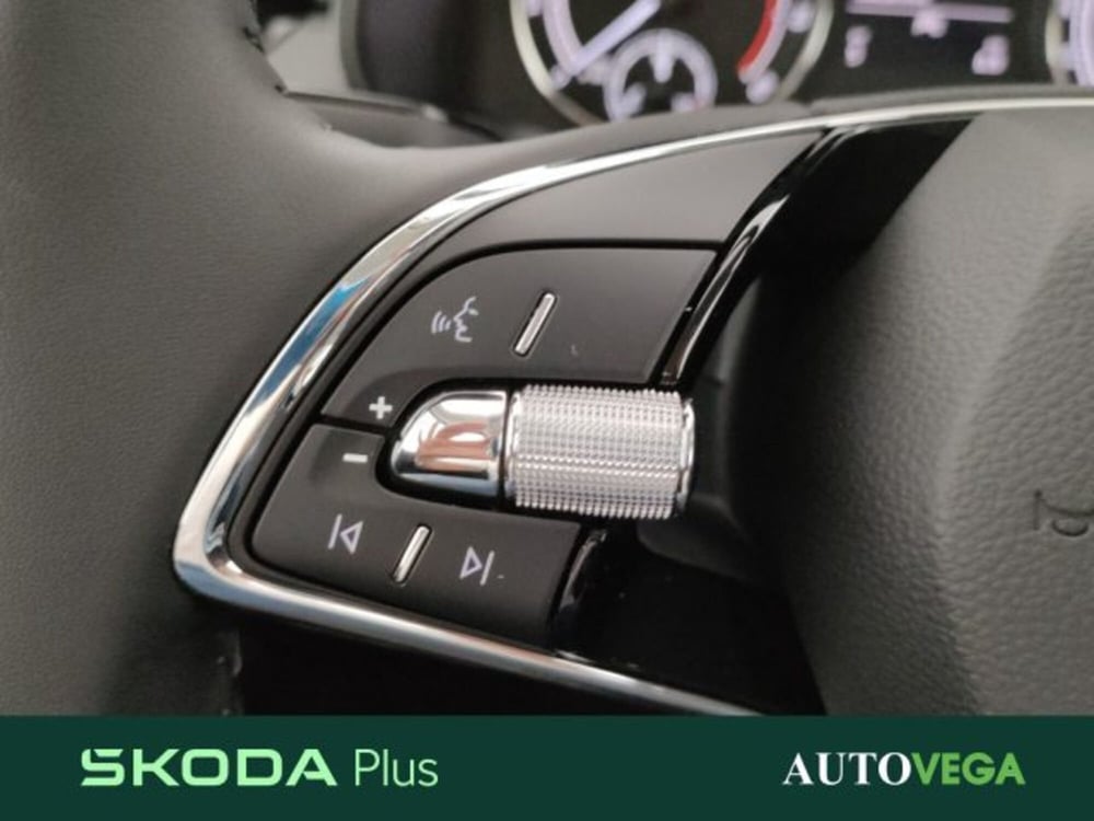 Skoda Kamiq usata a Vicenza (16)