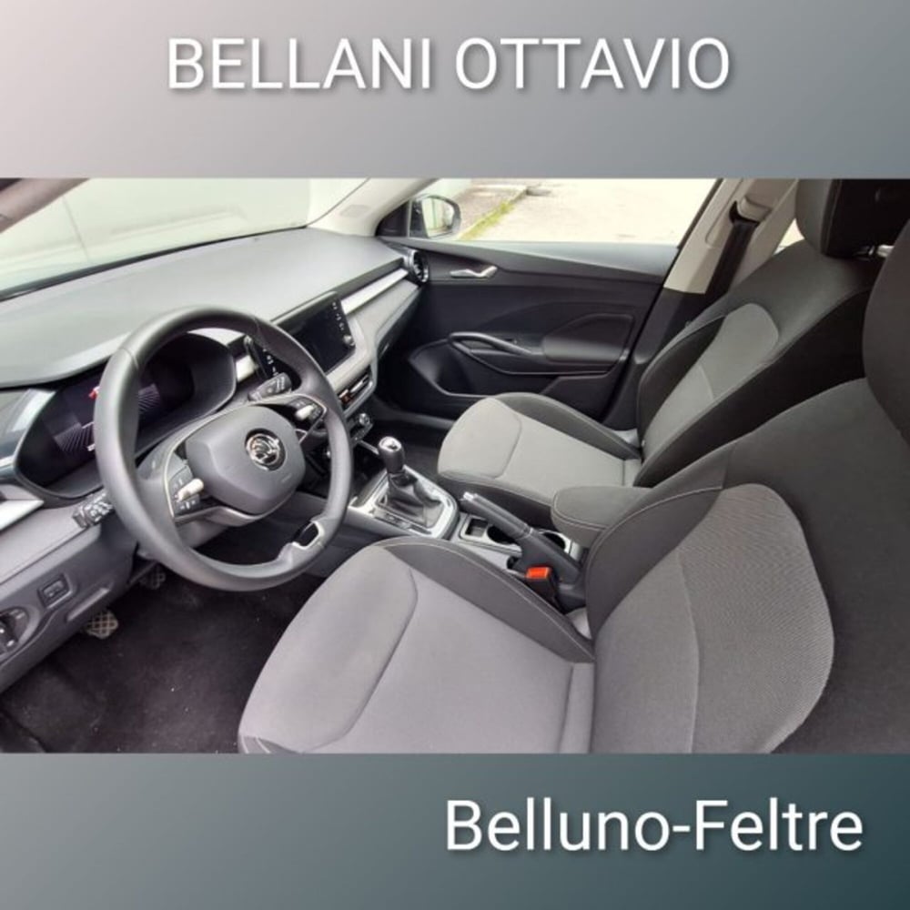 Skoda Fabia usata a Belluno (10)