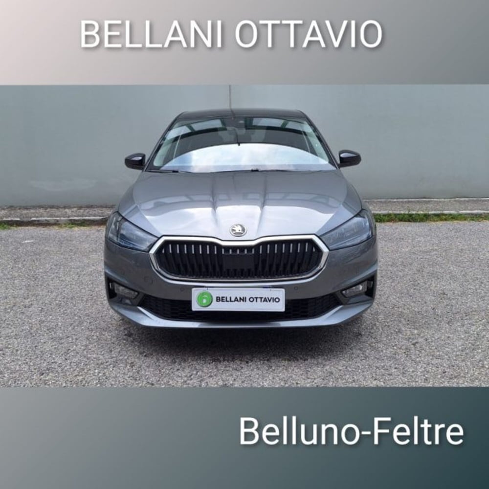 Skoda Fabia usata a Belluno (2)