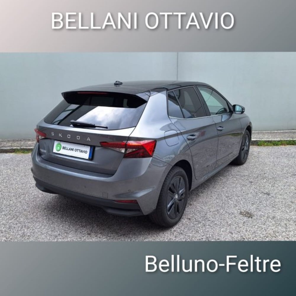 Skoda Fabia usata a Belluno (3)