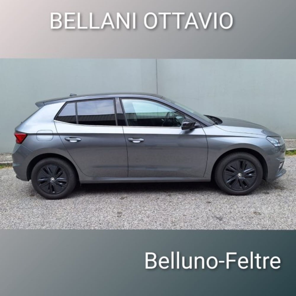 Skoda Fabia usata a Belluno (4)