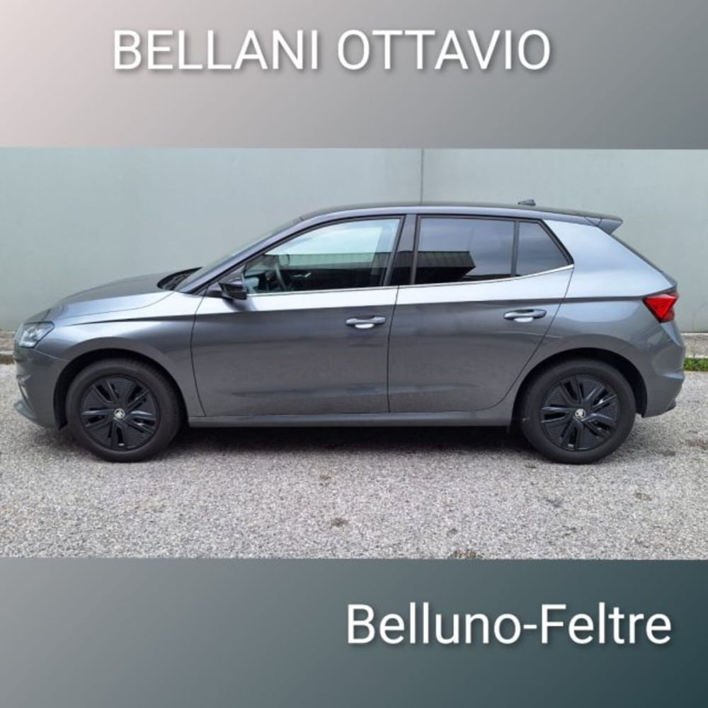 Skoda Fabia usata a Belluno (5)