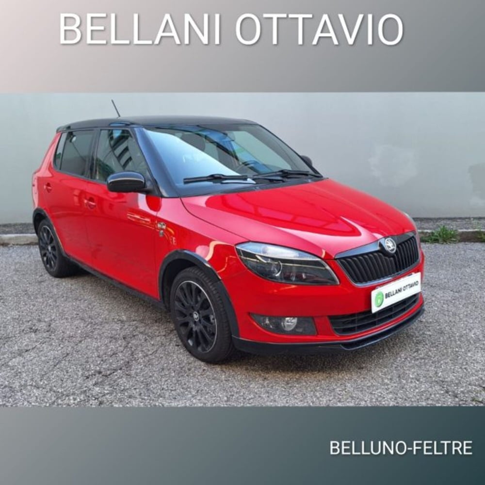 Skoda Fabia usata a Belluno