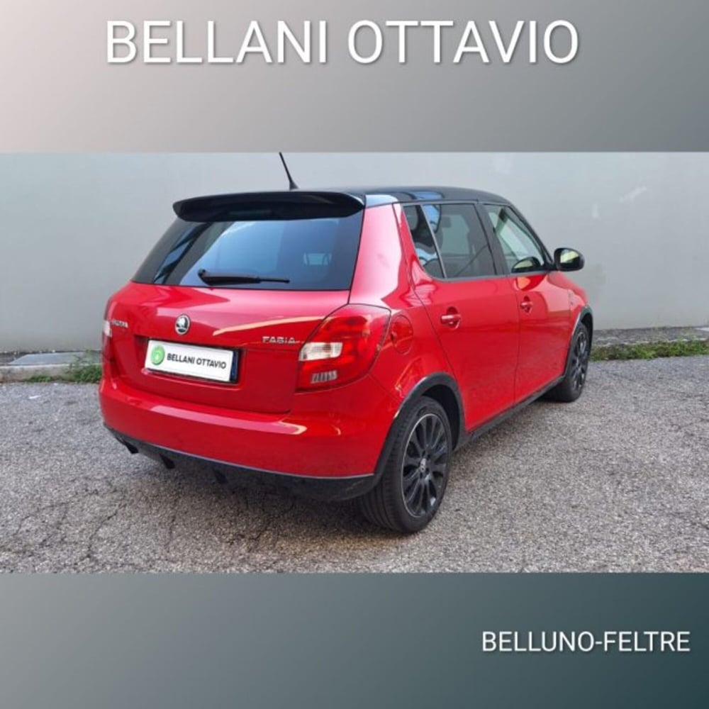 Skoda Fabia usata a Belluno (3)