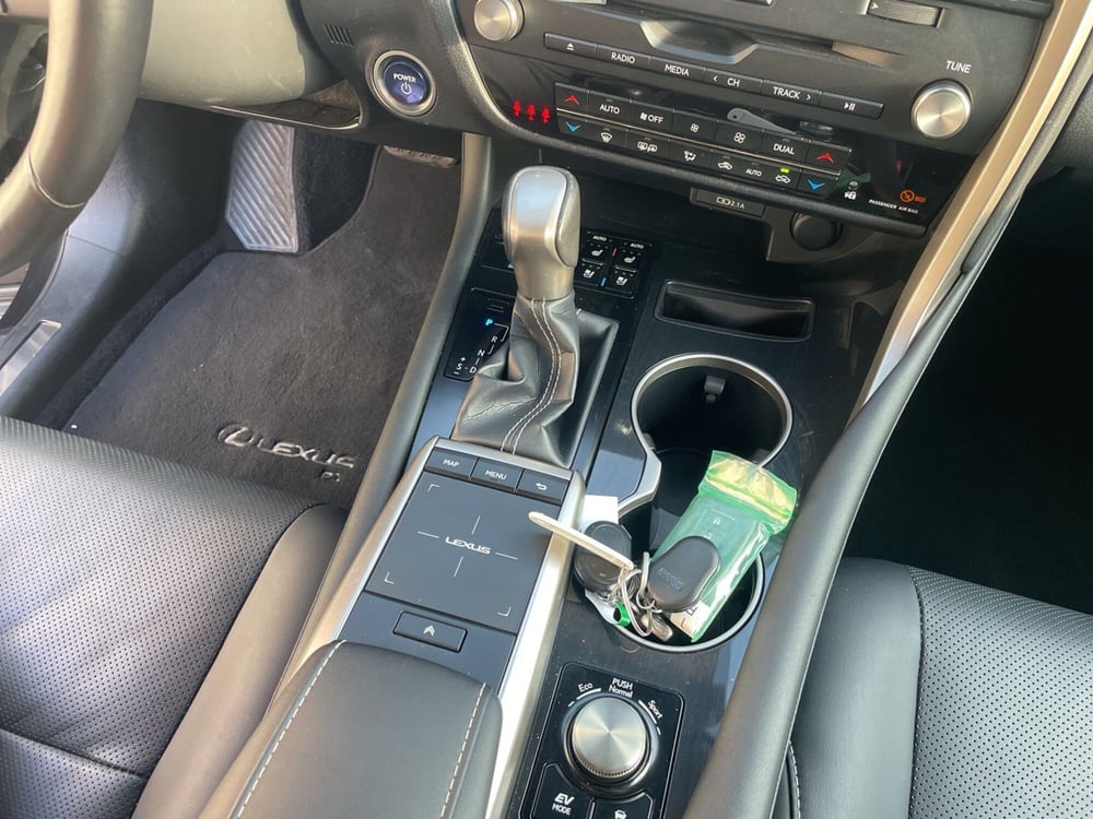 Lexus RX usata a Piacenza (15)