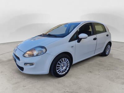 Fiat Punto 1.3 MJT II S&amp;S 85 CV 5 porte ECO Street del 2015 usata a Sala Consilina