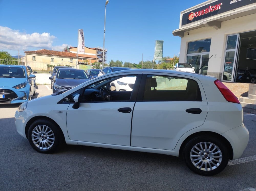 Fiat Punto usata a Salerno (14)